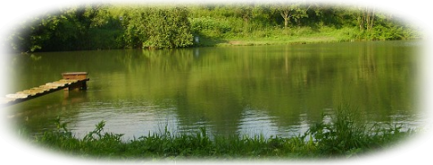 rybník olšava